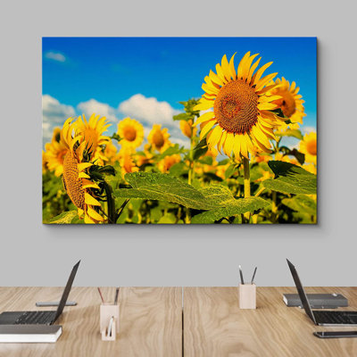 Tournesol vibrant campagne campagne tournesol nature sauvage - photographie sur toile tendue