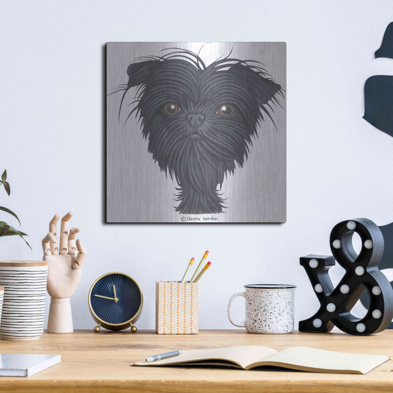 «Affenpinscher Bust» par Danny Gordon, H 12 po x l 12 po