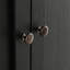 Armoire avec portes et tablettes en verre double