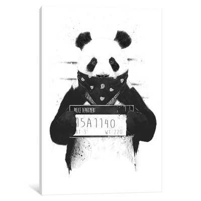 " Bad Panda " by Balazs Solti