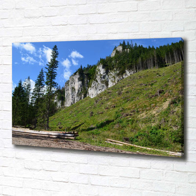 Rocky Peaks - Wrapped Canvas Print