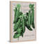 Peas - Wrapped Canvas Print-578920634