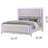 Elmin Upholstered Wingback Bed-1297824119