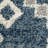 Ileyah Performance Southwestern Indoor Rug-685047263