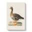 White-fronted Goose by Von Wright - Wrapped Canvas Painting-55299710