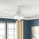 42" Builder 5 - Blade Standard Ceiling Fan with Pull Chain and Light Kit Included