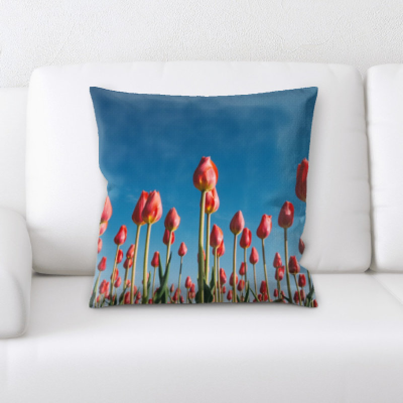 Coussin décoratif