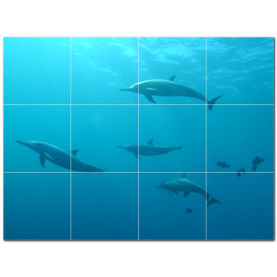 Murale en céramique 8 "x 8" Dolphin Photo