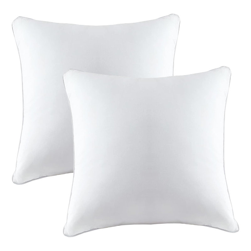 Coussins décoratifs en duvet et duvet (ensemble de 2) - Intérieur décoratif, lavable à la machine, H 20 po x l 20 po