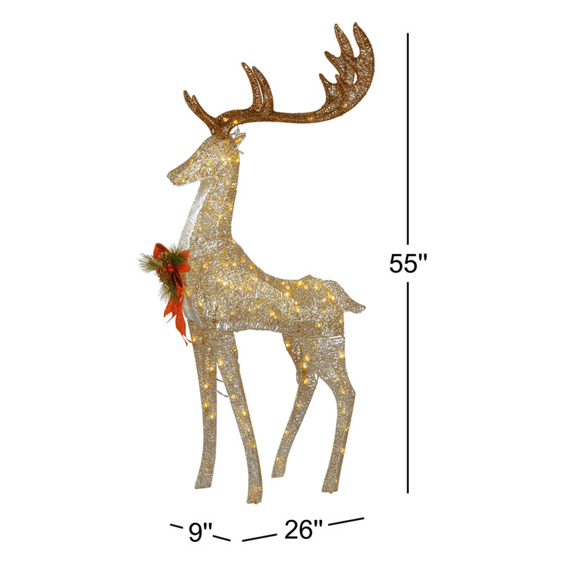 Lighted Display