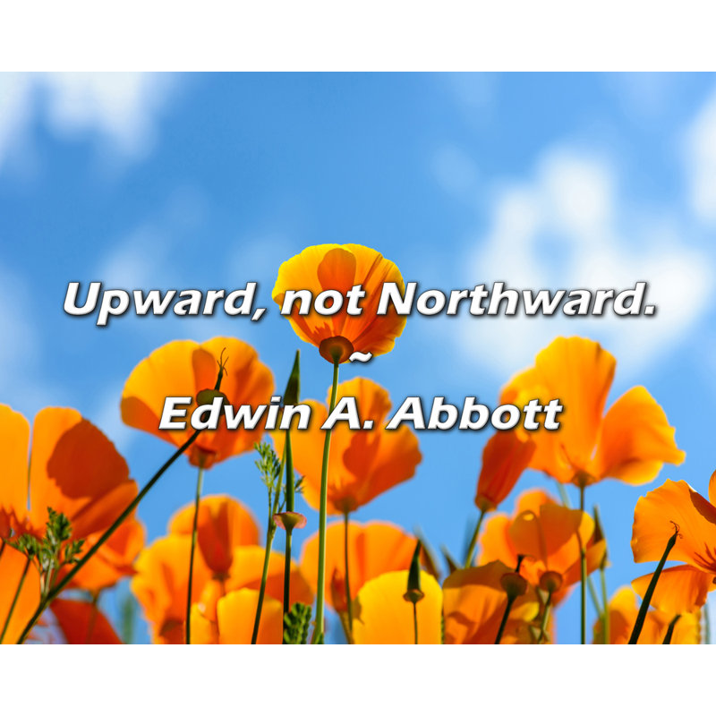 Citation d'Edwin A. Abbott: vers le haut, pas vers le nord., H 20 po x l 24 po