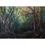 Forest Pulse