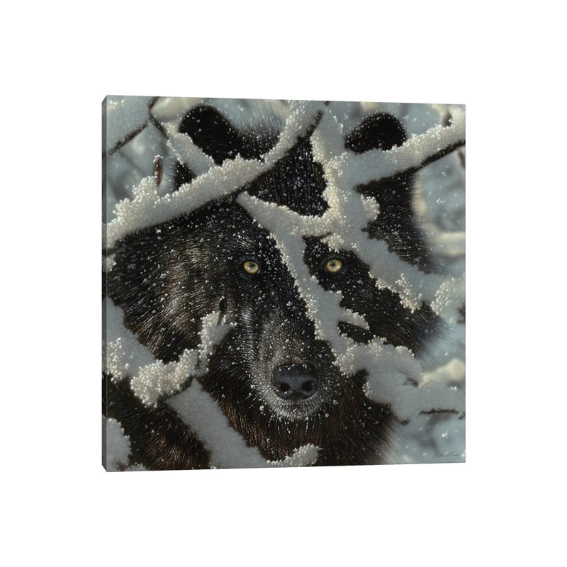 Winter's Black Wolf 1 Piece Wall Art on Canvas, 30.48 cm H x 30.48 cm W, Wrapped Canvas