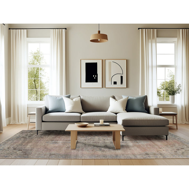 Tapis à motif oriental gris clair, Rectangle 6 pi x 9 pi