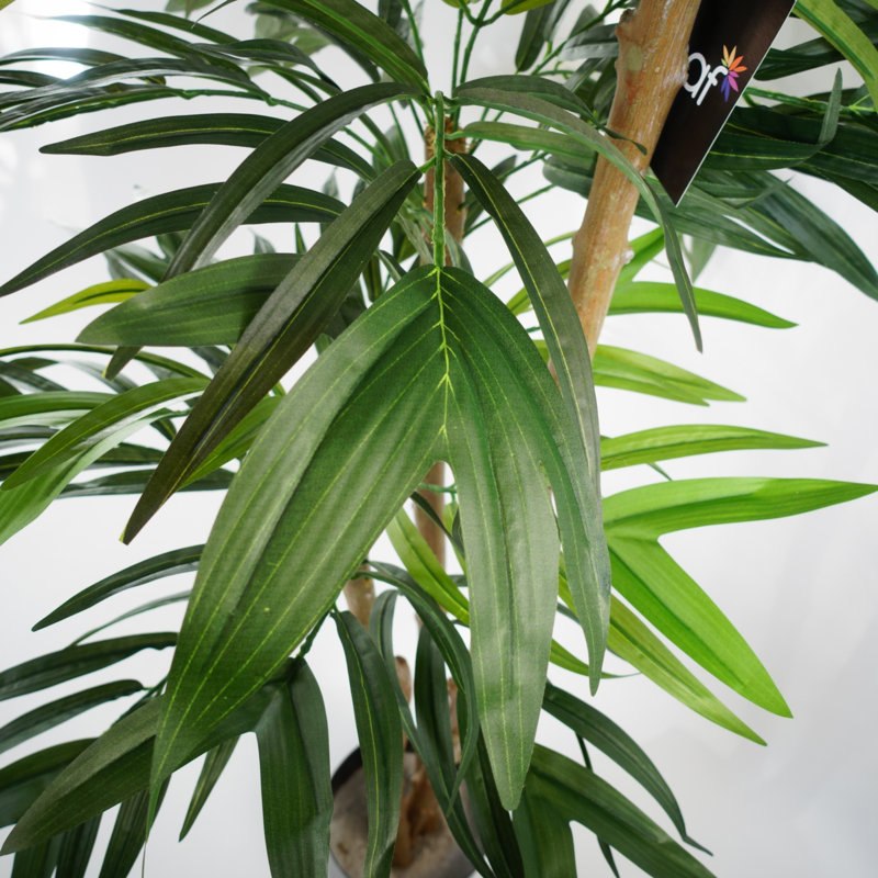 Anivea 140cm Faux Mango Tree in Pot