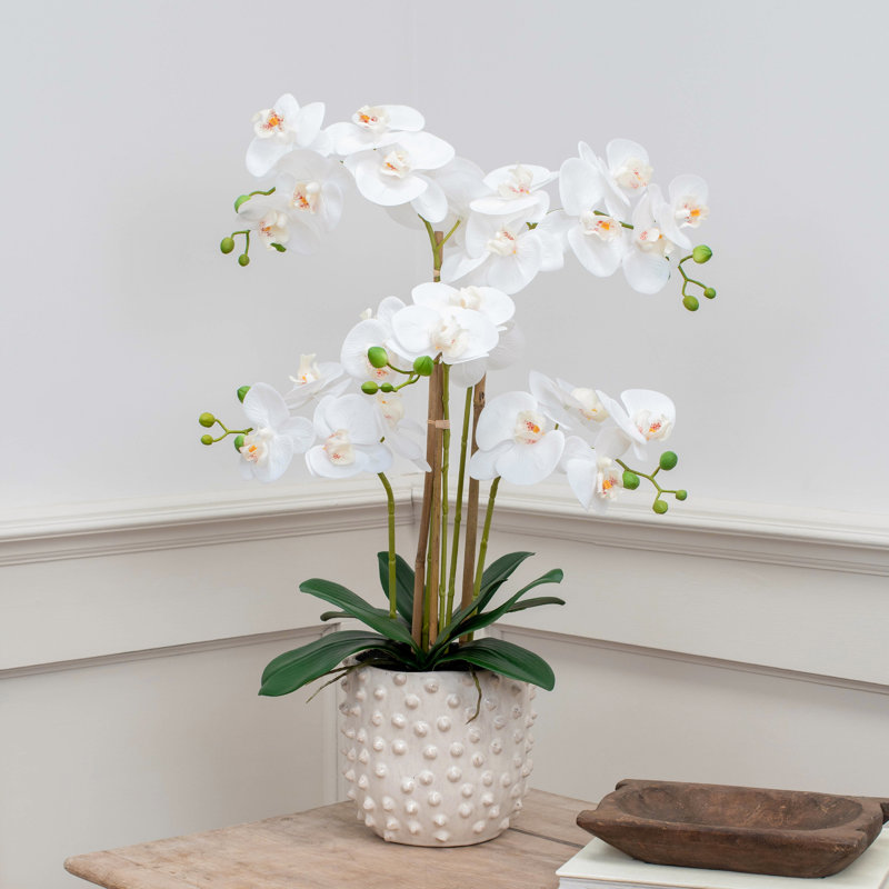 Arrangement