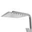 Rische Rain Dual Shower Head