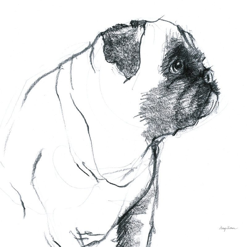 Odin Sitting Pretty by Avery Tillmon - Wrapped Canvas Print, 20cm H x 30cm W x 3.8cm D