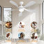 Whisper Bloom 52 po Luminaire en ABS blanc 1 lumière avec salle de bain Mobulidae