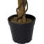 Premium Artificial Variegated Ficus Tree Potted Plant