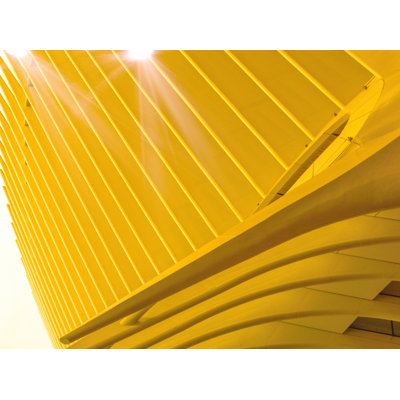 Sunny Days Print by Kevin Quinn