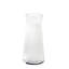 Wingen Crystal Highball Glass