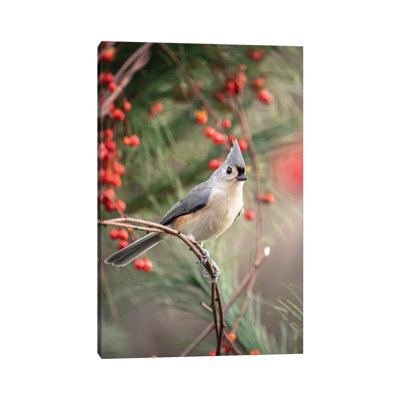 Tufted Titmouse Red Berries by Karen Burke - Wrapped Canvas Print