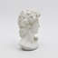 Monochrome Classical Bust Sculpture – Matte Resin Decorative Accent (29 cm) -1263162807