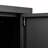 2 Door Cabinet-1718672504