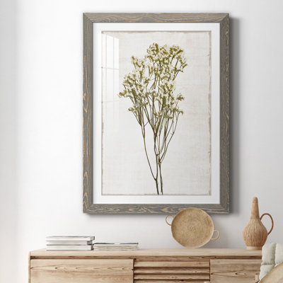 Farmhouse Pressed Flower II - peinture encadrée