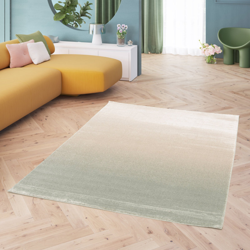 Anyhia Ombre Area Rug, Rectangle 200 x 290cm