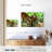 Brampt Loving Tigers-108953942
