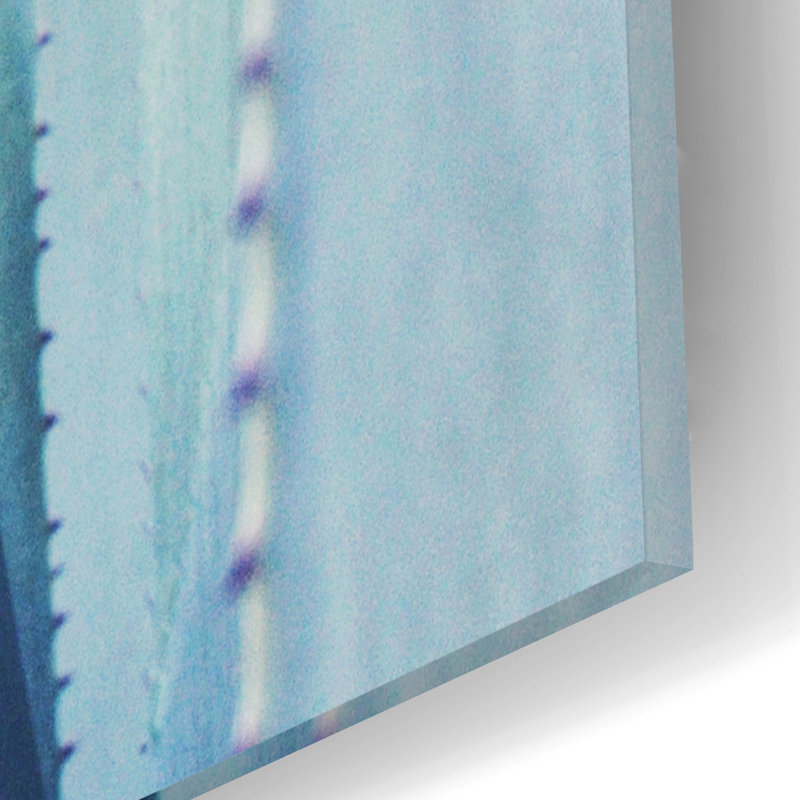 Epic Art «Pale Blue Agave No. 1» par Lupen Grainne, «Pale Blue Agave No. 1» par Lupen Grainne, H 16 po x l 12 po