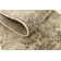 Tobitha Abstract Indoor Rug