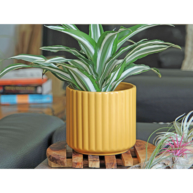 Mini pot de fleurs en céramique émaillée avec peigne et brosse - Intérieur/Extérieur, Blanc mat