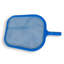 Loesch Pool Cleaning Tools