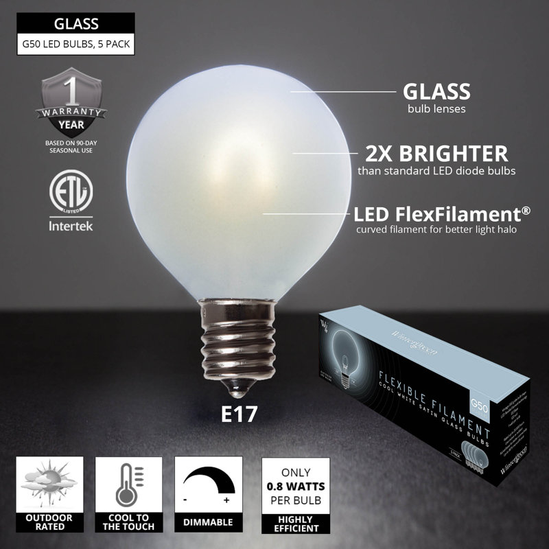 0.8 Watt Equivalent E17 Globe Light Bulb Frosted