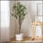 180CM ARTIFICIAL MILAN LEAF BONSAI-1541953067