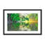 Trees Get Thirsty Too Print by Shawn Thomas-48614395-48614396