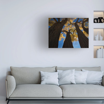 Art sur toile de coton Shenshen Dou