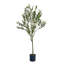 Olive artificielle-545847896