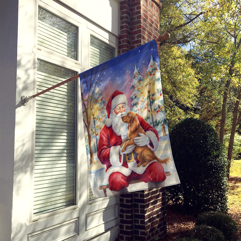 Épagneul boykin avec le drapeau de la maison du Père Noël, Taille de la maison, Épagneul Boykin