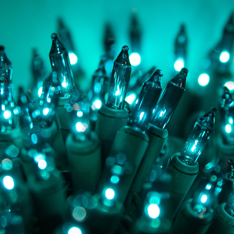 50.5' 100-Light String Lights, Teal