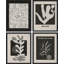 «Mid-Century Plants Nature» noir et blanc, impression encadrée sur papier, 4 pièces-97770731-97770733