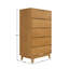 Jerred 5 Drawer Solid Wood Chest-97425494