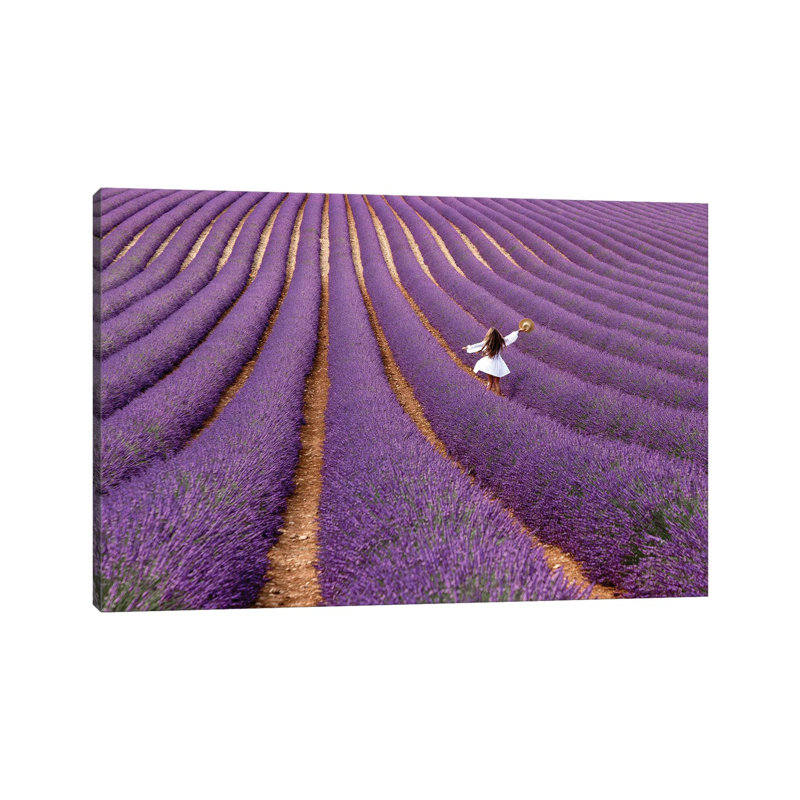Violet 1 Piece Wrapped Canvas Wall Art, 20.32 cm H x 30.48 cm W