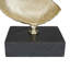 Sculpture Carland-1502366496