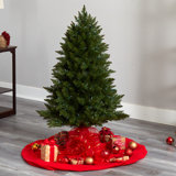 Lighted Christmas Tree