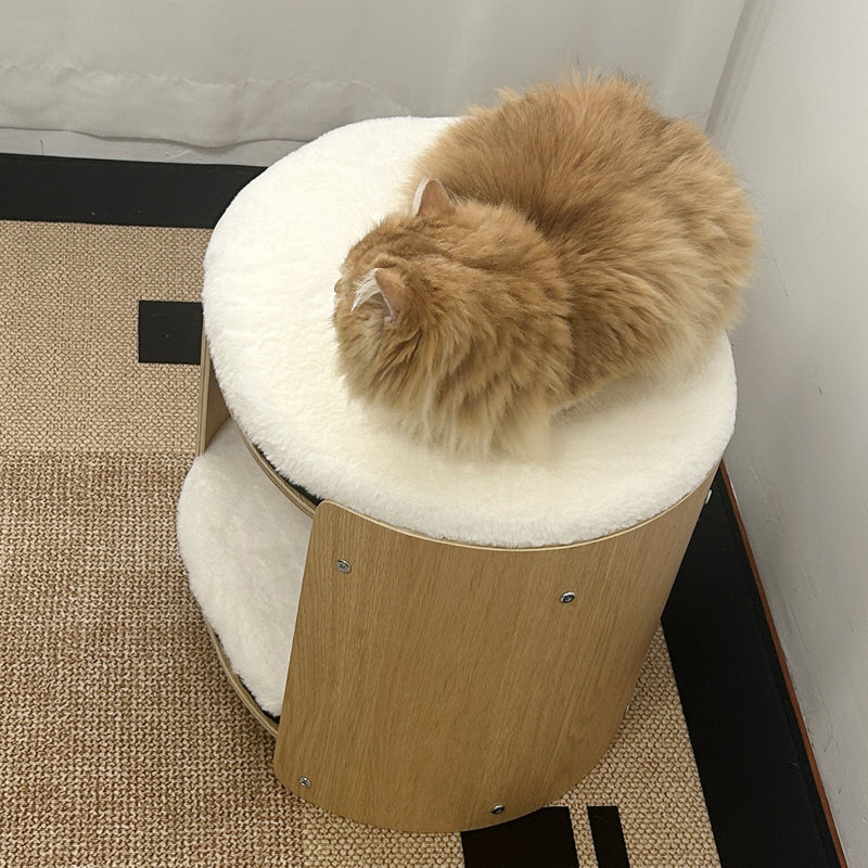 Lit pour chat surélevé pour chats d'intérieur Arbre à chat mignon à 2 niveaux avec tapis moelleux ultra doux