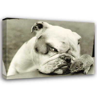 Bulldog